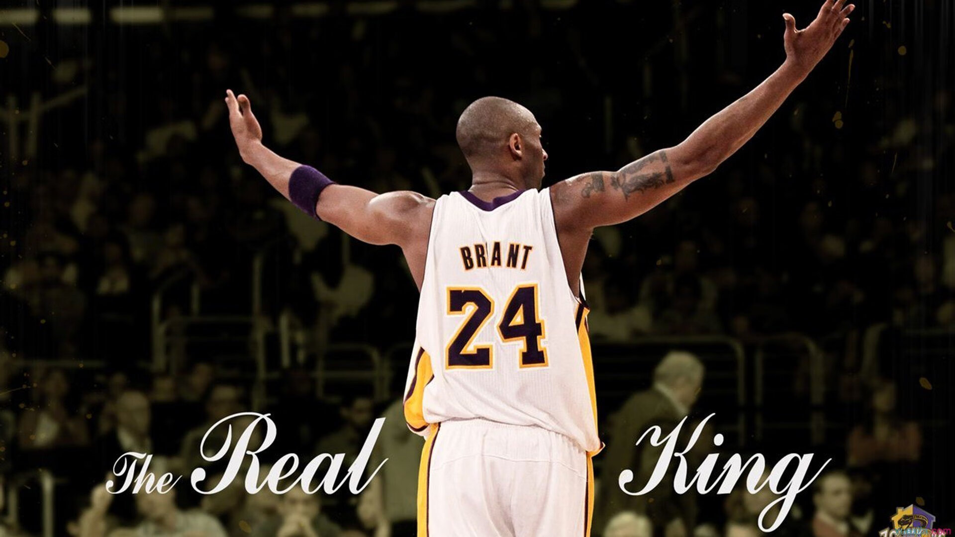 年度焦点之战之夜，当贝恩在风暴中心刻下不朽